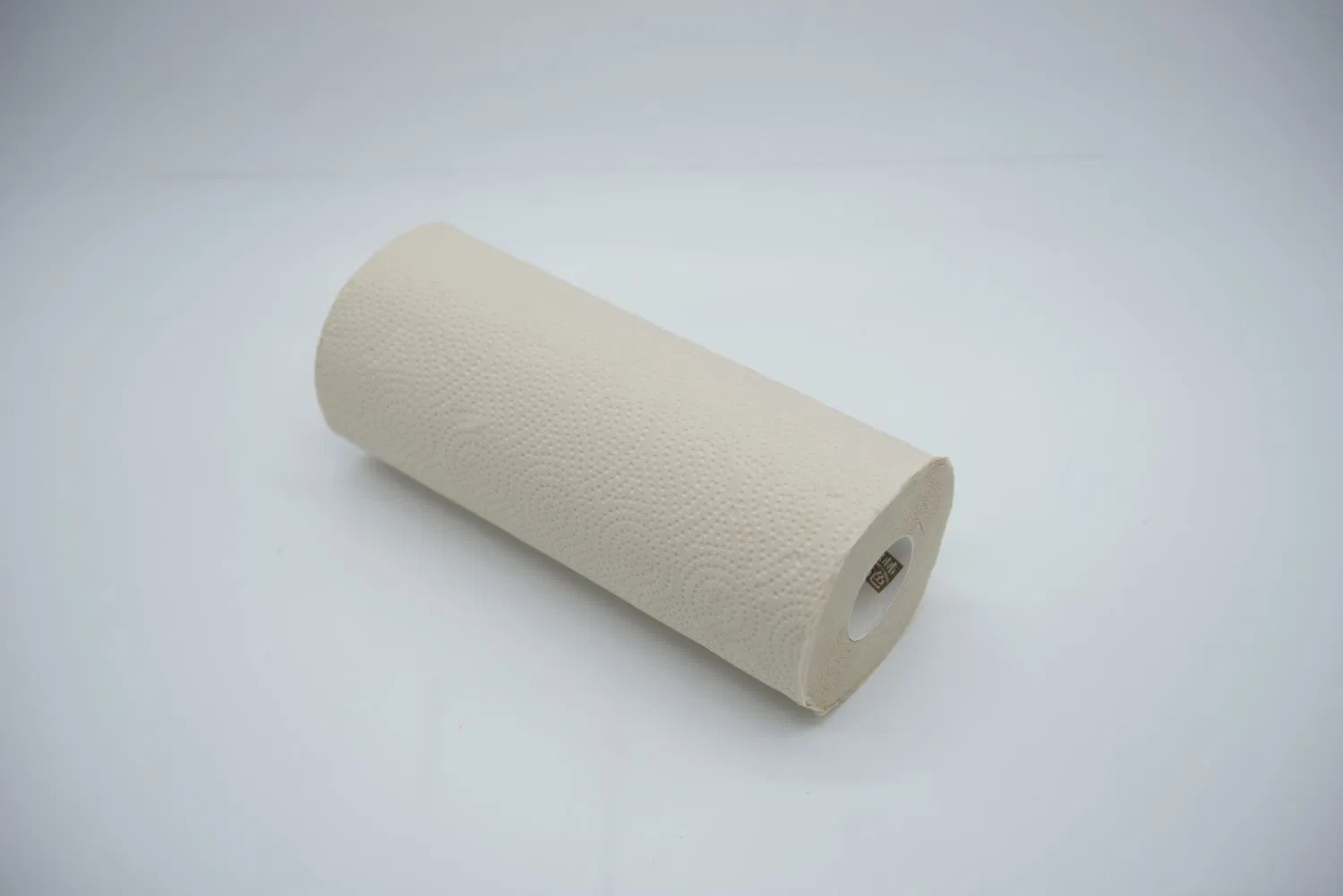 Custom Bamboo Pulp Jumbo Roll Kitchen Paper Absorbent Strong 2 Ply Tissue