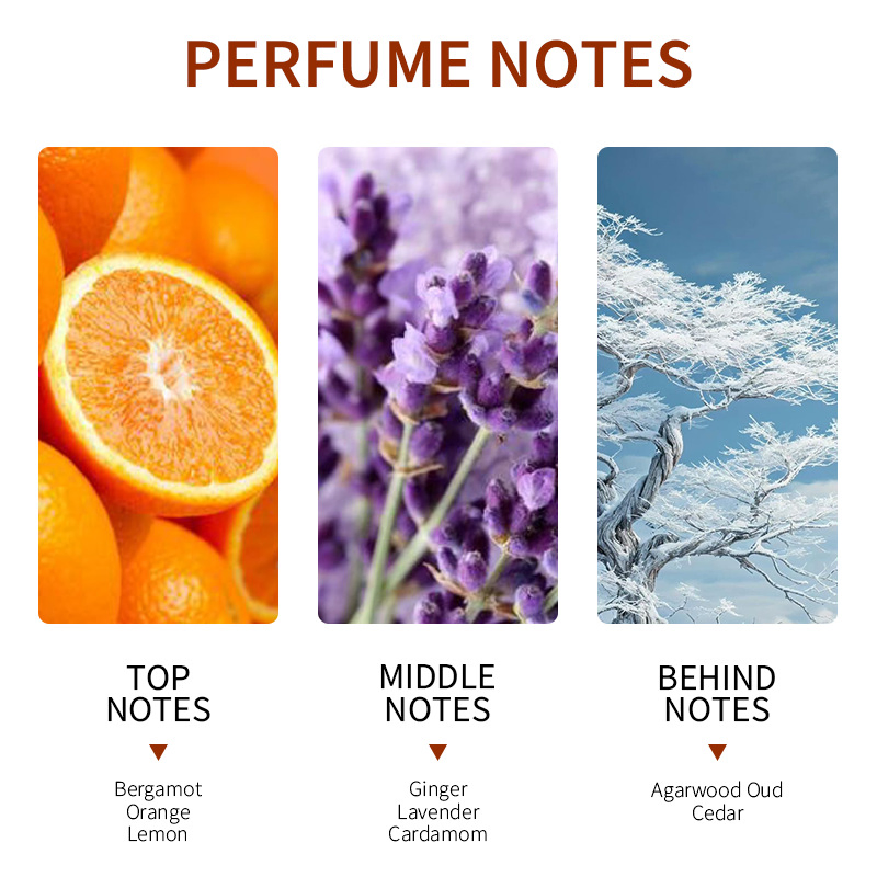 Men's Perfumes Wood Cedar Oud 100ml Arabian Perfume