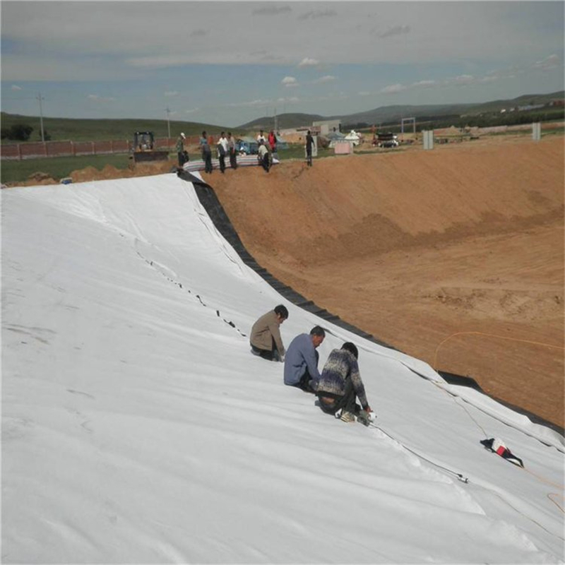 Wholesale Factory Economical Price PVC Geomembrane Custom 1mm Thick PVC Geomembrane