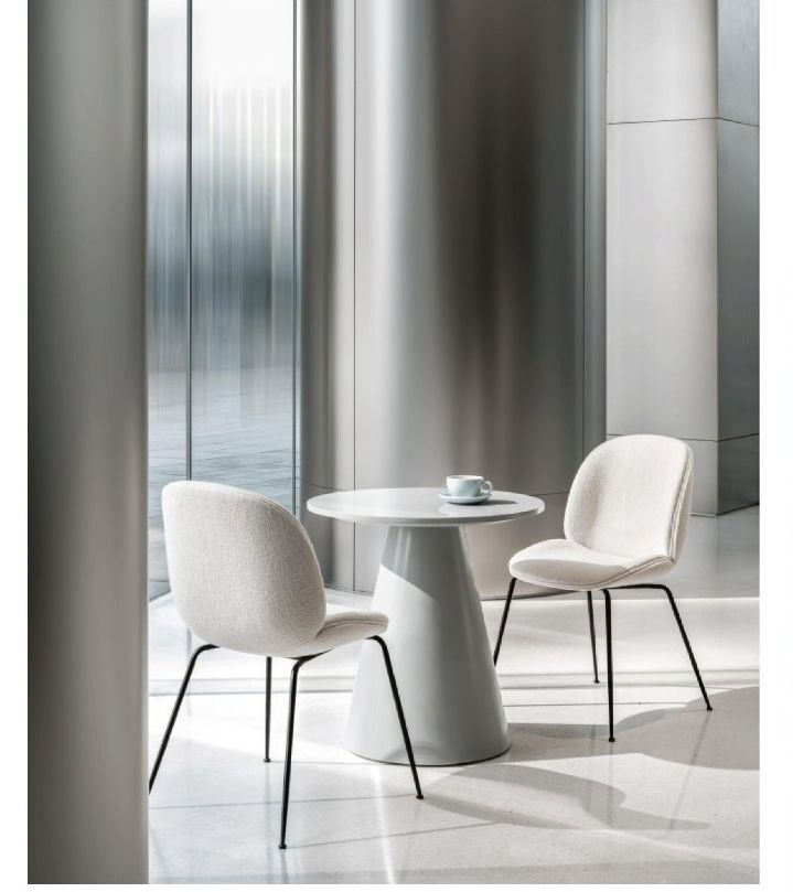 Metallic-Surface WPC Panel Durable Cladding for Modern Commercial Spaces