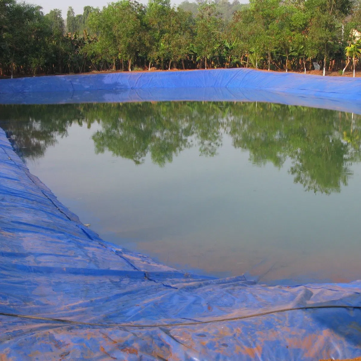 0.5mm/1mm/1.5mm/2mm Durable Unfading Anti-Aging HDPE Geomembrane Waste Water Treatment Garbage Covered Field