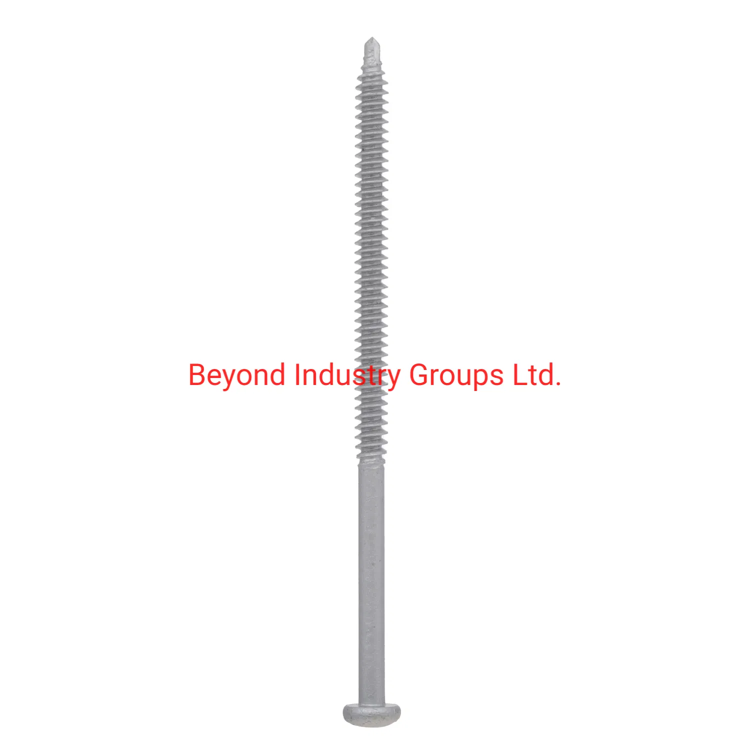 Black Drywall Screw Collated Screw Grey Screw