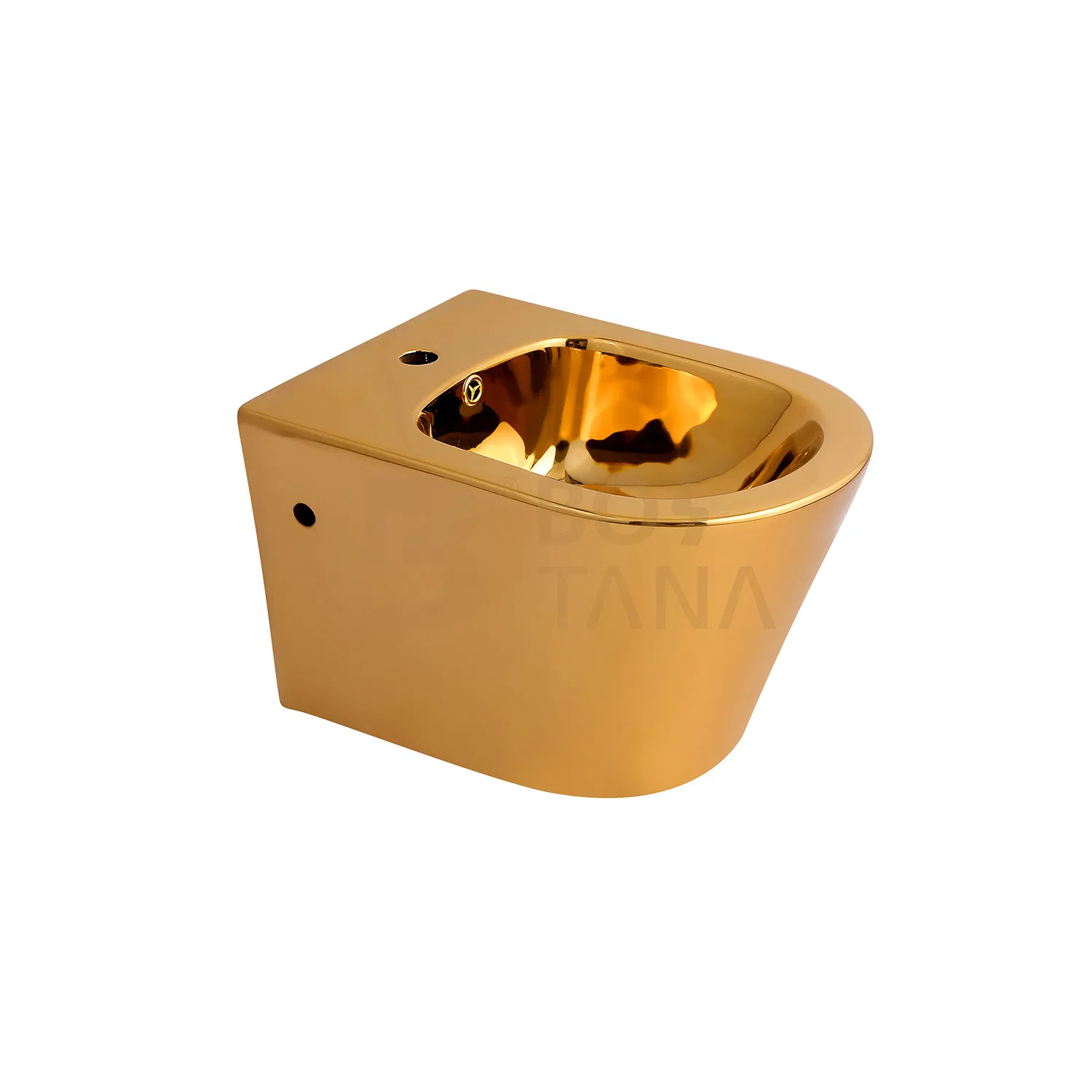 Bathroom Wc Back to Wall Bidet Ceramic Sanitaryware Toilet Bidet