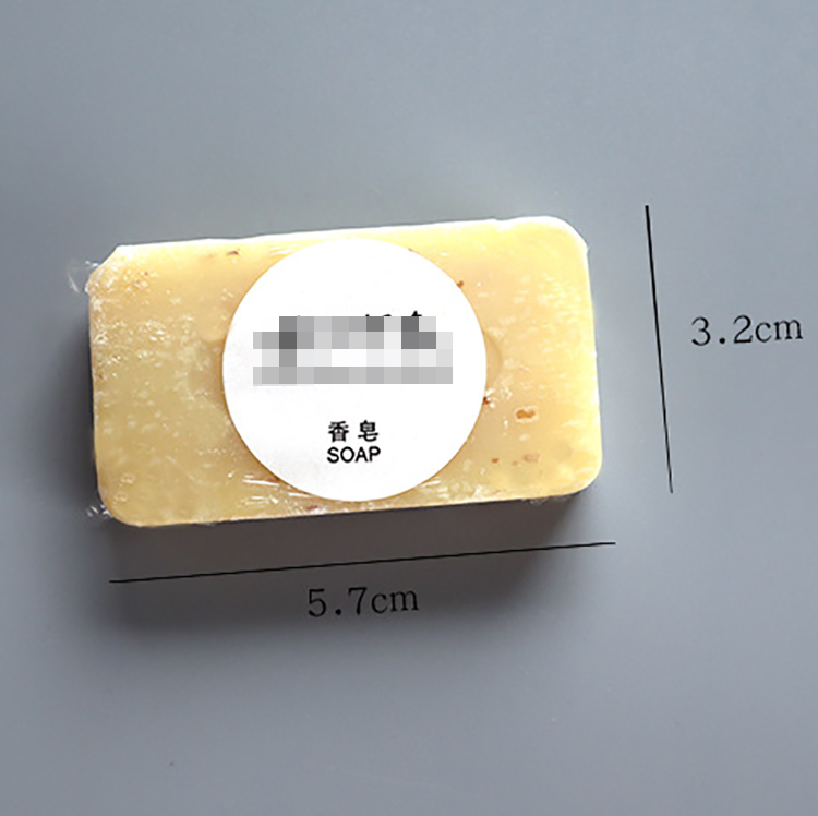 Hotel Amenities Hotel Soap Travel Set