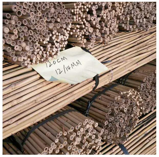 Bamboo Stick Bamboo Poles for Garden/Bamboo Cane