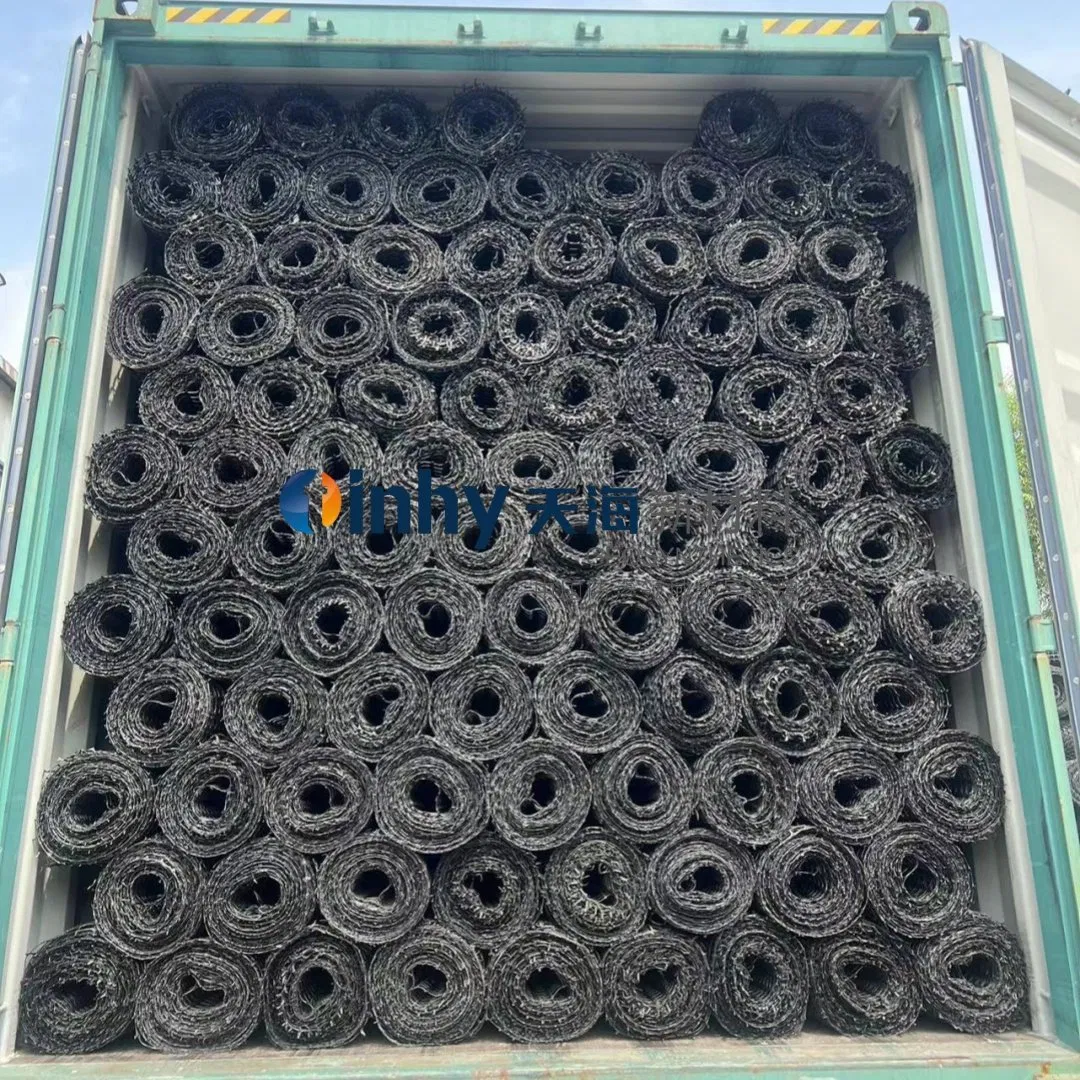 Uniaxial Biaxial Geogrid Fabric Plastic Geogrid Glass Fiber Geogrid for Asphalt Reinforcement and Driveway