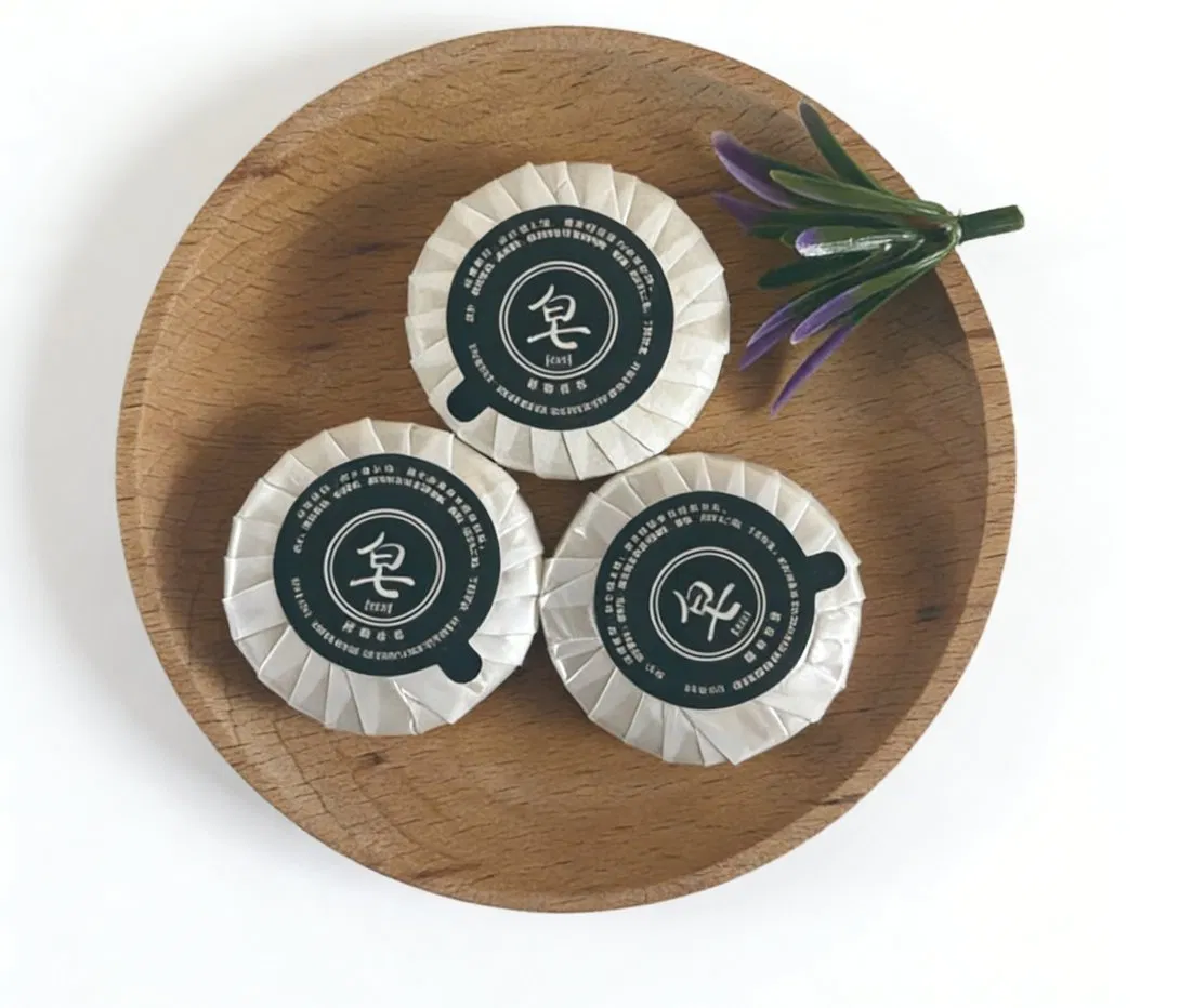 Customized Logo Various Kinds of Soaps Hotel Amenities Disposable Mini Soap and Toiletries Hotel Size