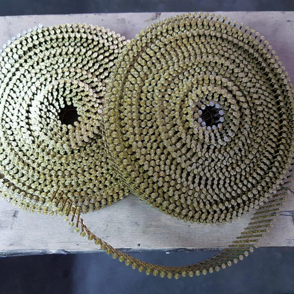 High Quality 5 Degree 2 - 3 Inches Coil Nails