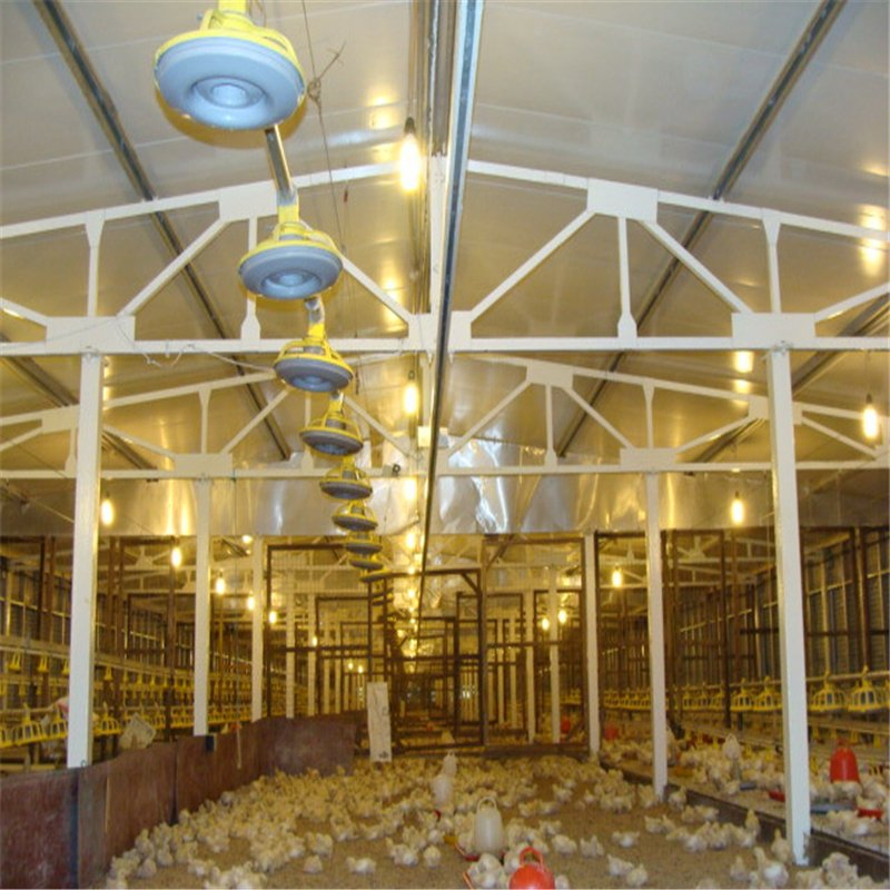 Easy Assemble Light Poultry House Steel Structure with Good Quality