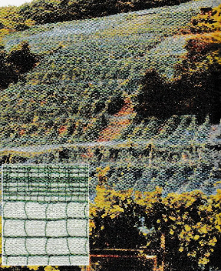 Hail Protection Net Anti-Hail Plant Protection Agriculture