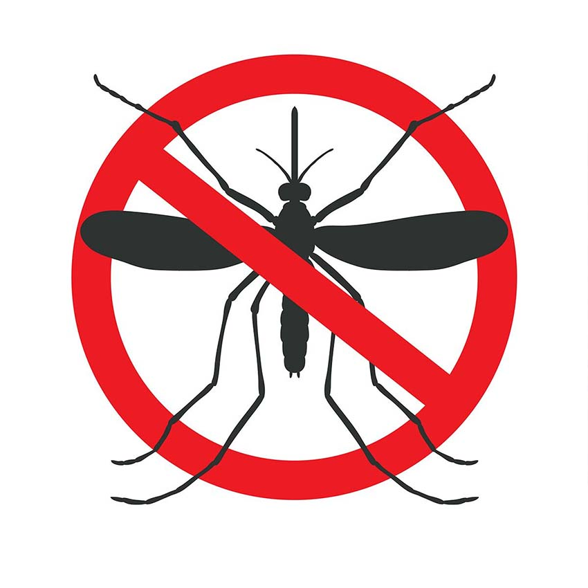 Customized Mosquito Insect Killer Lamp Mosquito Trap LED Fly Killer Lamp Indoor