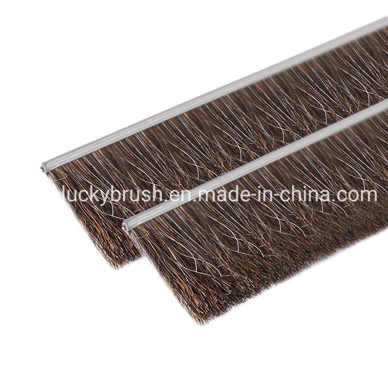 Flexible Strip Cleaning Brush for Door Window Escalator /Double Row Base Nylon Plastic Horse Hair Industrial Brush (YY-995)