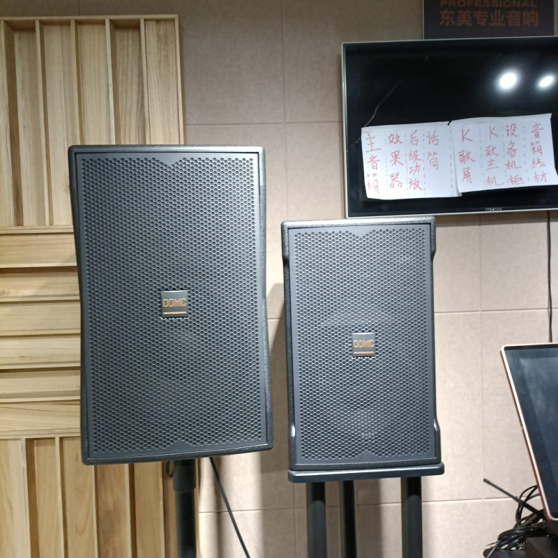 Professional Studio Grade Domc K210 10-Inch Speaker System