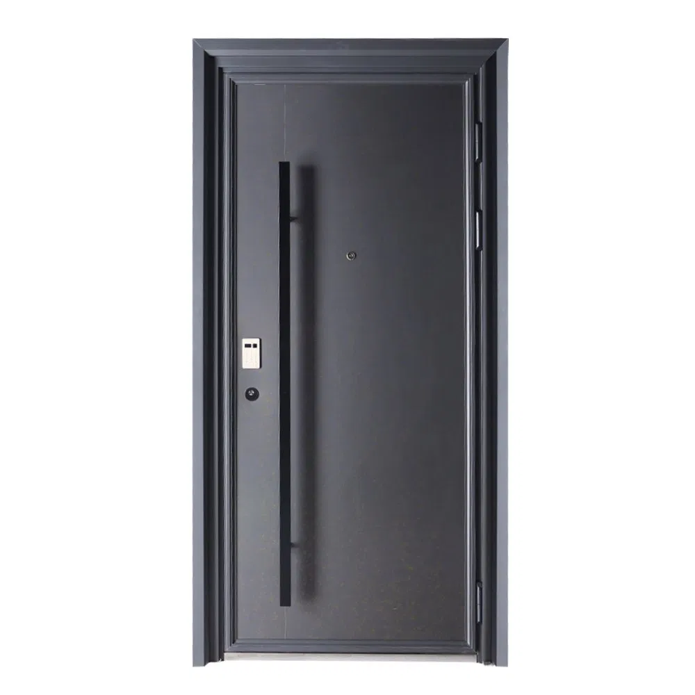 Luxury Main Gate Entrance Security Steel Door for Villa Design