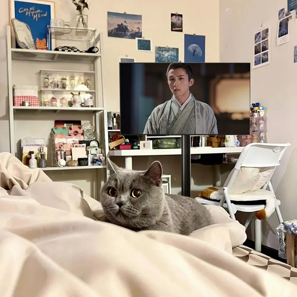 Portable TV Speakers for Smart TV LCD Monitor 21.5 Inches Android