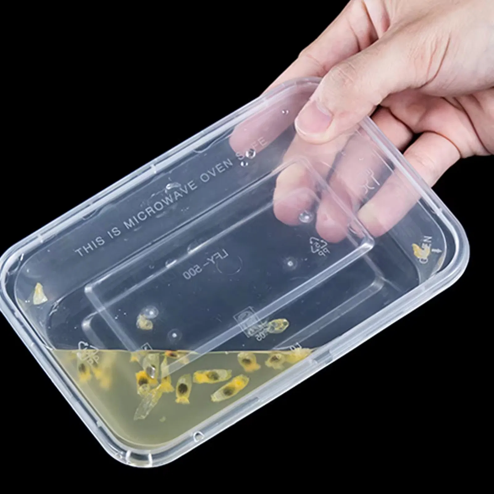 Clear Leakproof Compartment PP Plastic Food Takeaway Disposable Hot Lunch Box