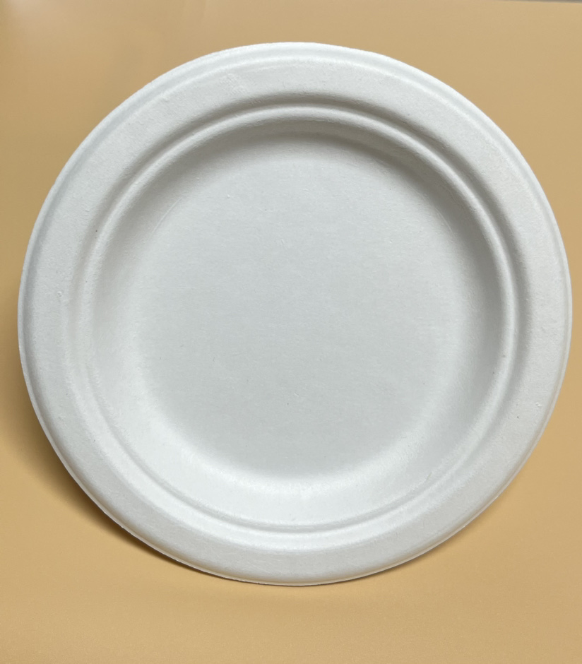 High Quality Disposable Sugarcane Bagasse Tableware with Lid Clamshell Food Container