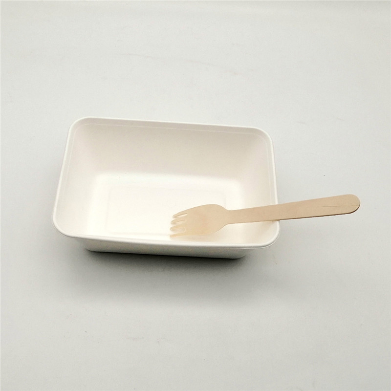 Disposable Biodegradable Sugarcane Bagasse Food Packaging Container