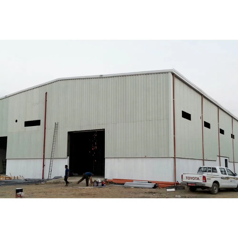 Light Steel Structure Ready Made Steel Structure Prefabricated House/Building