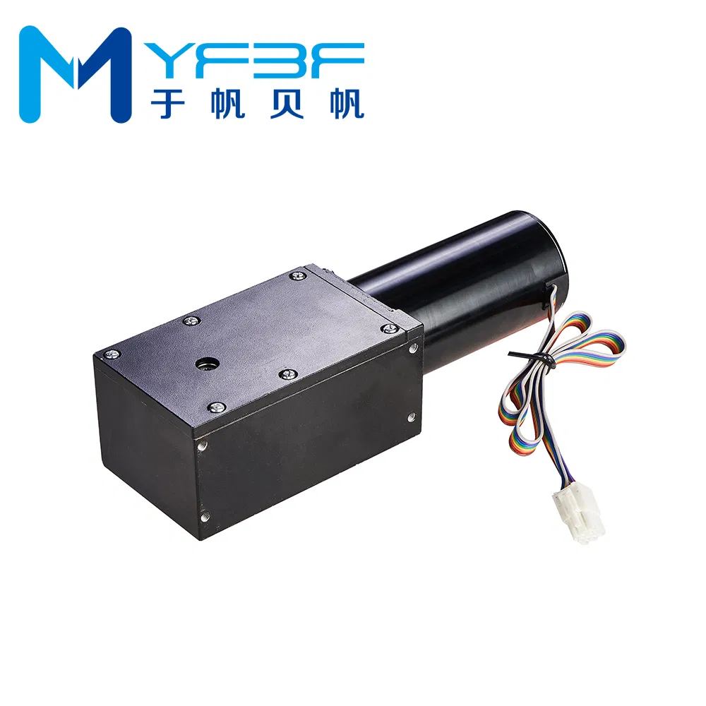 DC 24V 100W Automatic Swing Door Opener Motor for Outdoor Hotel and Apartment
