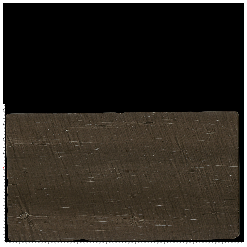 Leathered Cygnus /Brown Silk /Beauty Musk Exotic Quartzite for Wall and Countertops