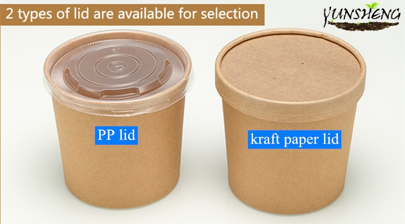 Disposable Takeaway Kraft Paper Soup Cup with PP/Kraft Paper Lid for Soup, Deli, Pasta, Ice Cream, Rice