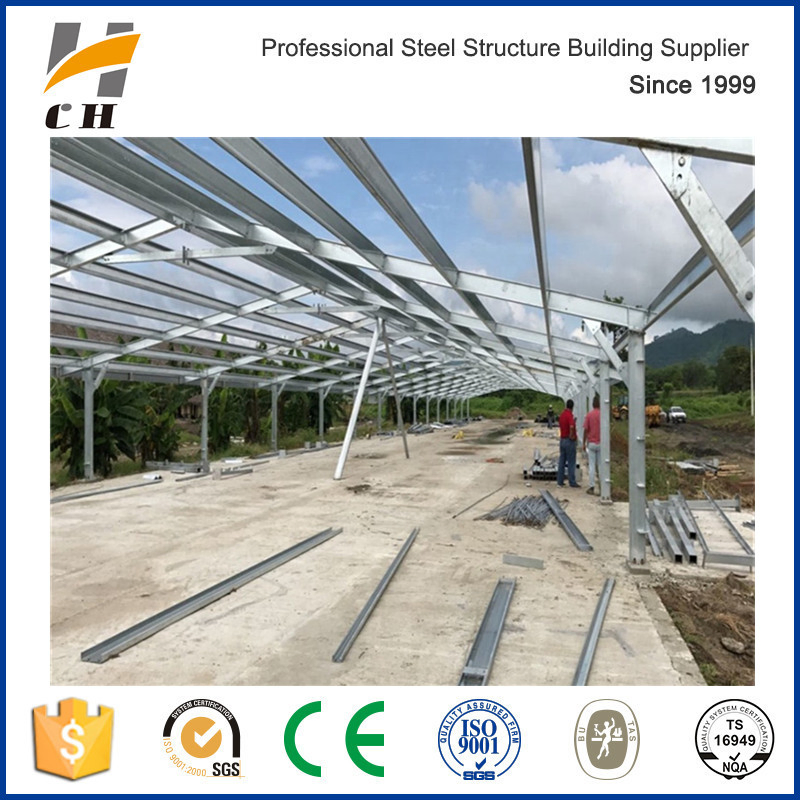 Galvanized Steel Beam/Galvanized Steel Column for Chicken Farm