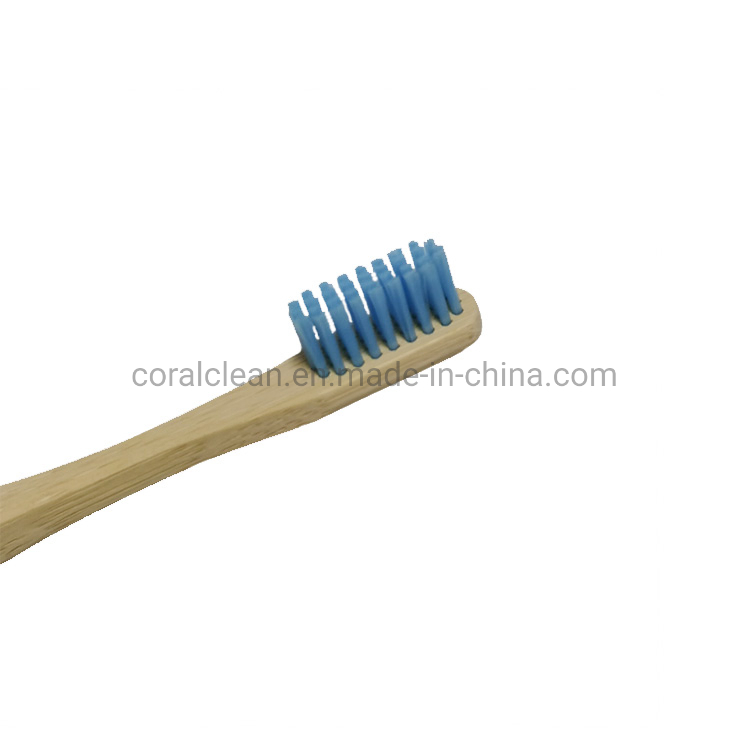 Mr. Bamboo Biodegradable Bambu Toothbrush for Home Hotel Travel