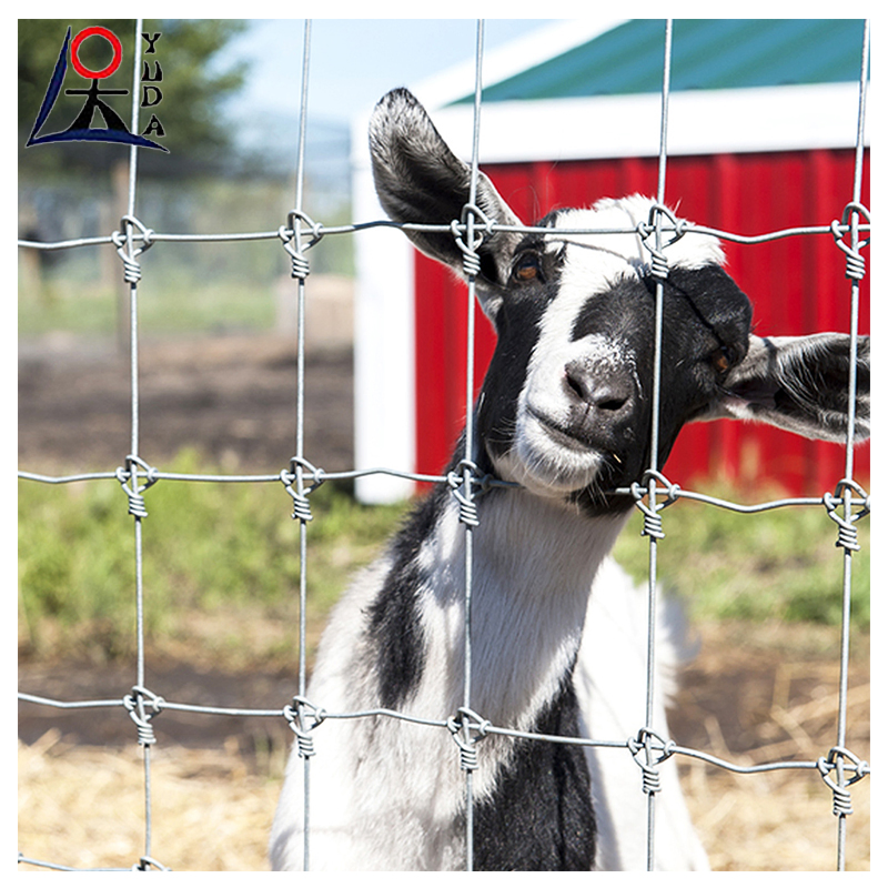 Premium Galvanized Low Price Iron Factory Farm Fence