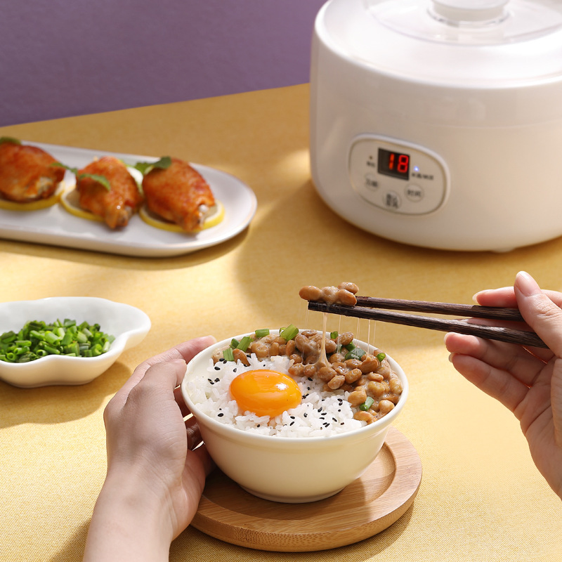 Home Small Fully Automatic Mini Multifunctional Yogurt Maker