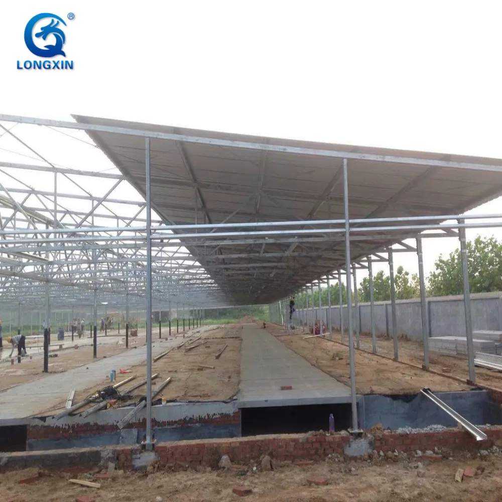 Easy Build Light Steel Steel Structure Prefabricated Pig Breeding Farm Livestock Building House