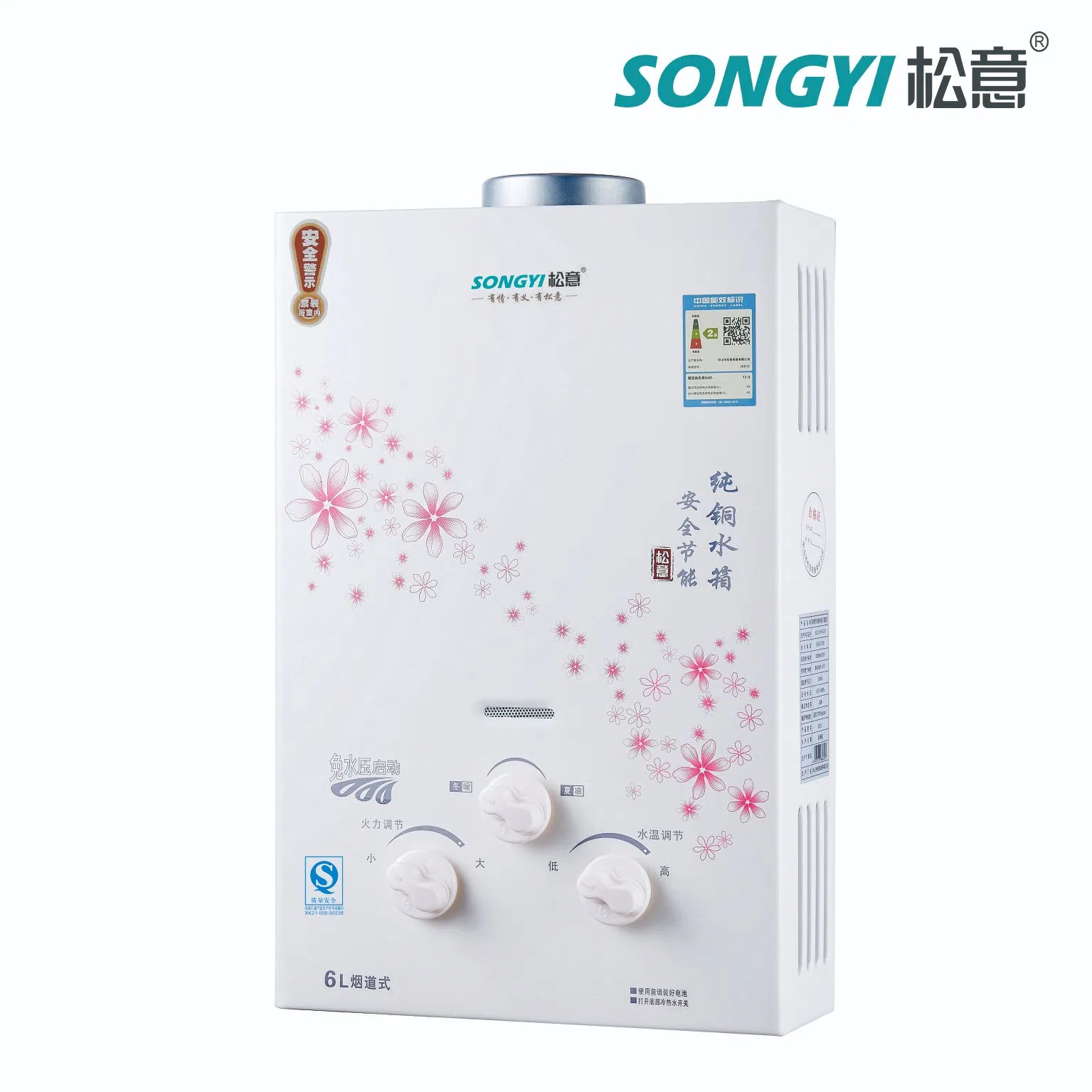 Multi-Functional Gas Water Heating System Water Heater Indoor Outdoor Constant Temperature with Durable Material