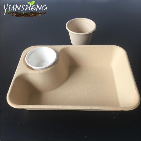 Compostable White Paper Trays for Cooking with 2/3/5 Compartments