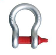 Forged Us Type G209 Bow Shackle with Screw Pin