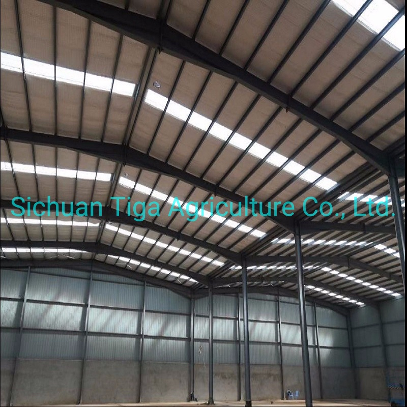 High Quality Prefabricated Steel Structure Industrial Warehouse/Workshop for Sale