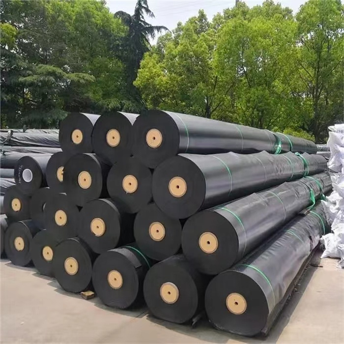 ASTM Impermeable Waterproof HDPE Geomembrane High Tear Resistance OEM ODM Custom Plastic High Density Polyethylene (HDPE) Geomembranes