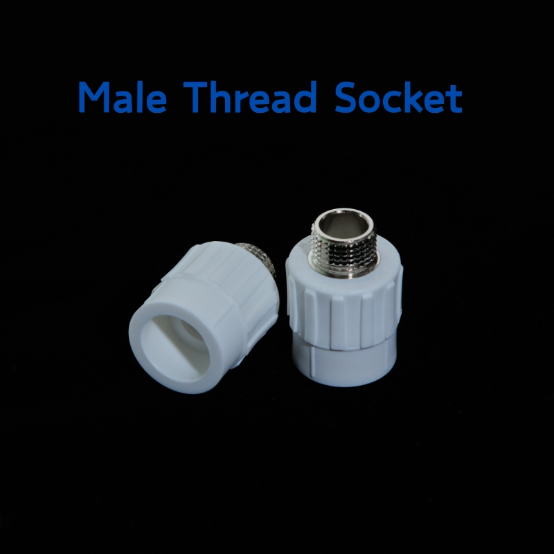Wholesales PPR Male Thread Socket of PPR Pipe Fittings 20*1/2'