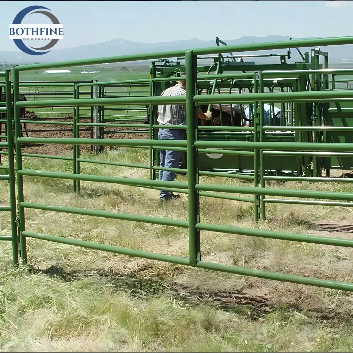 Wholesale Galvanized Cattle Panels Heavy Duty Farmland Corral Panel Livestock Horse Corral Panels to USA Market