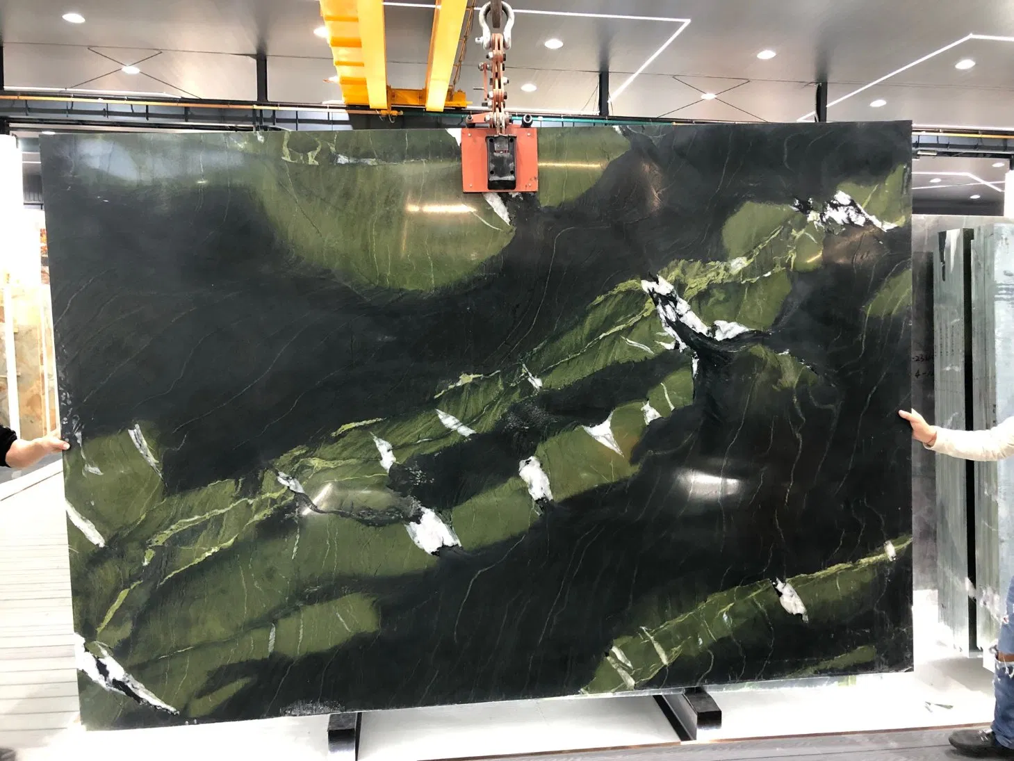 Avocatus Green Quartzite Polished Tiles&Slabs&Countertop