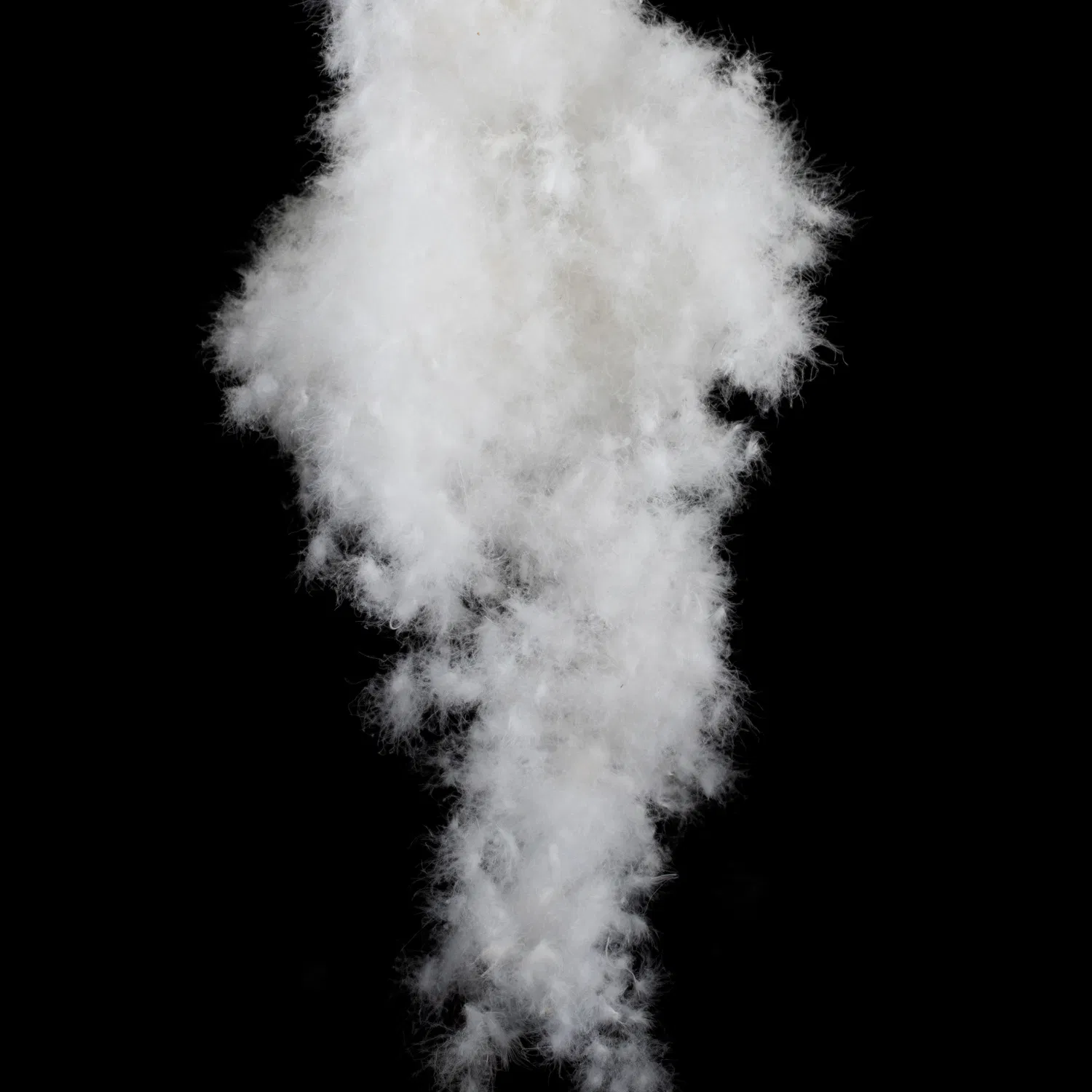 Low-Prices Wholesale White Duck Down and Feathers for Bedding