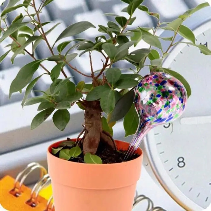 Automatic Watering Pear Balls Glass Drip Irrigation Can Lazy Hydro Bonsai Garden Tools Self-Watering Ball