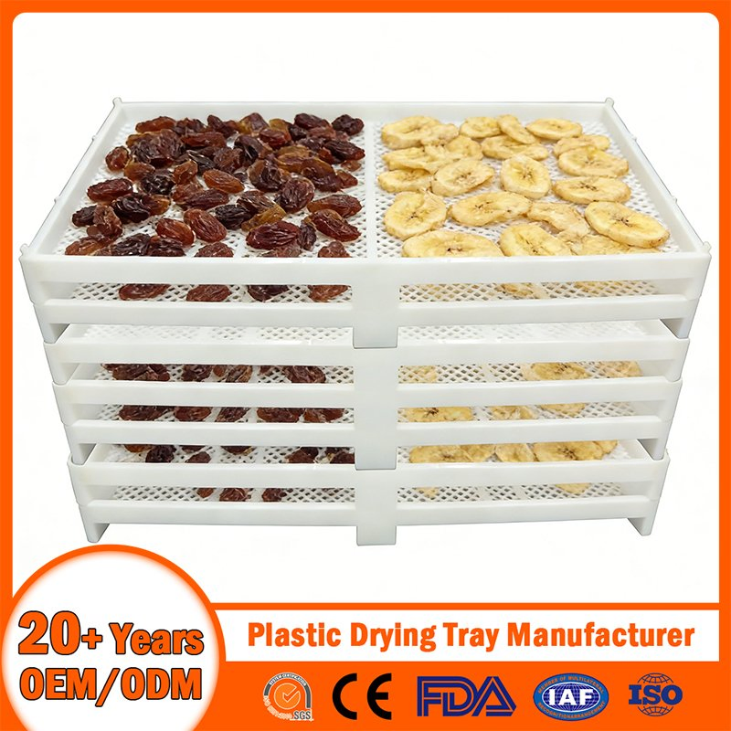 China Plastic Drying Tray Manufacturer Stackable/Nestable/Perforated/Mesh/Solid Bottom Plastic Cooling/Freezing/Dried Tray for Seafood/Fruit Aquaculture/Herbal