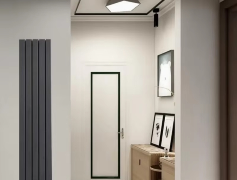 Hot Selling Designer 50*25 Double Steel Hot Water Central Heating Radiator