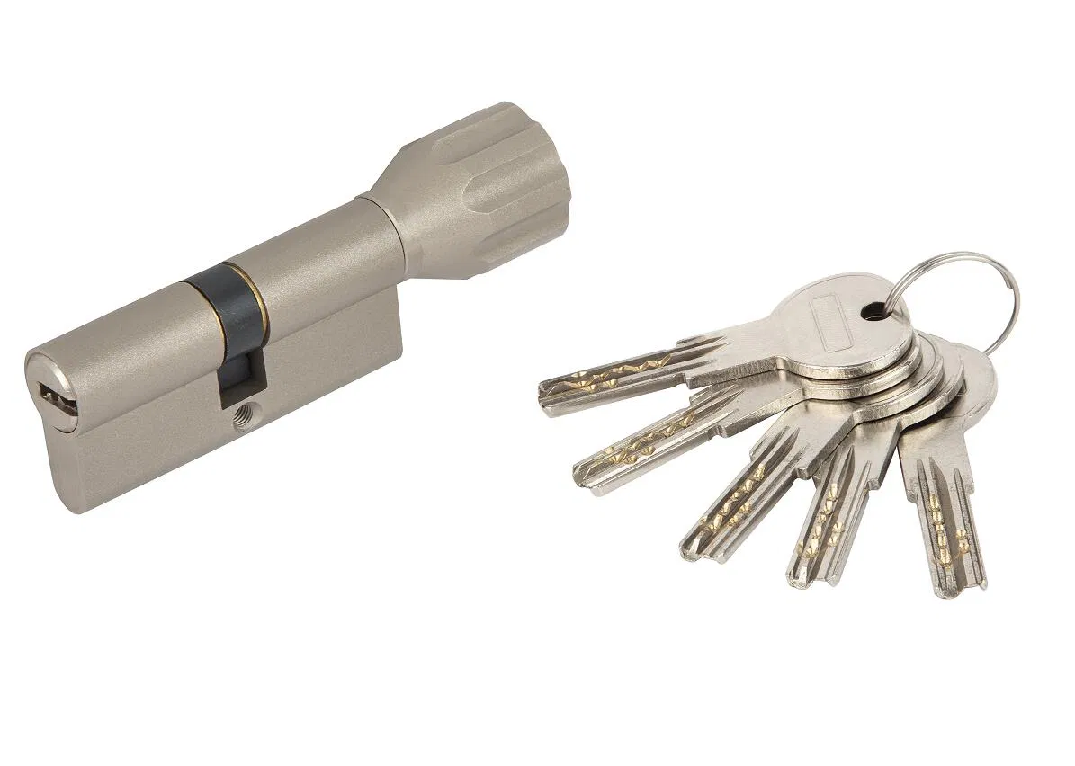 Double Pins Pure Brass High Security Lock Key Cylinder with Snake Keys