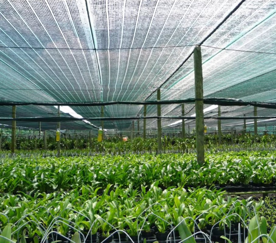 HDPE Plastic Sun Shade Net