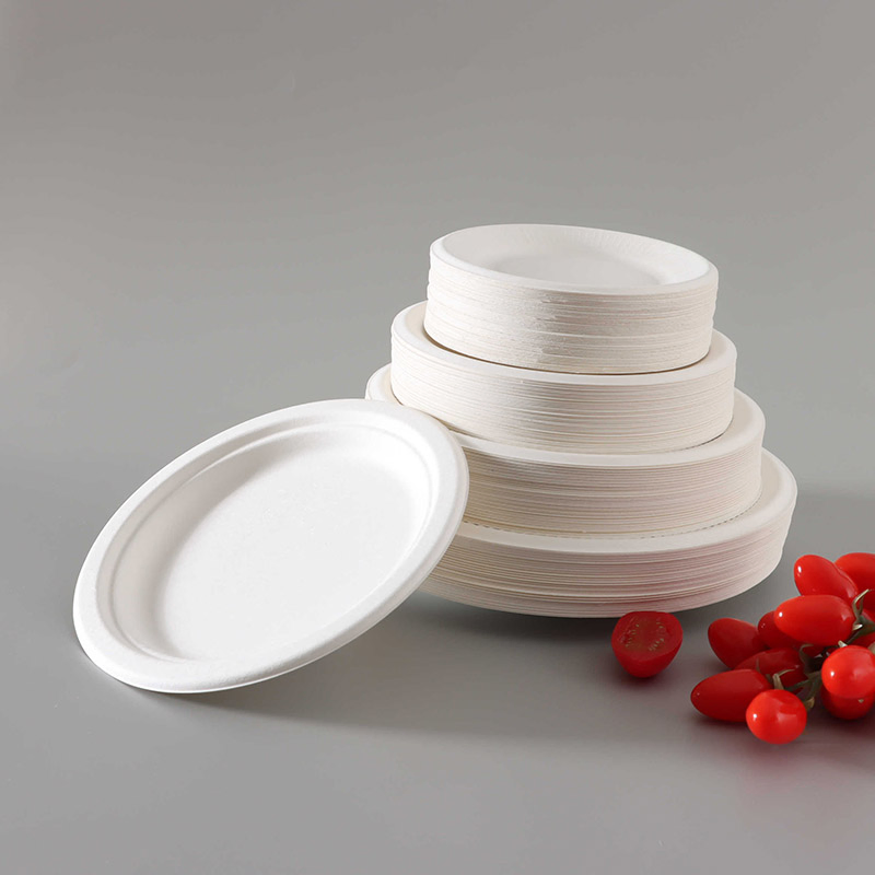 Экологичная одноразовая миска из сахарного тростника