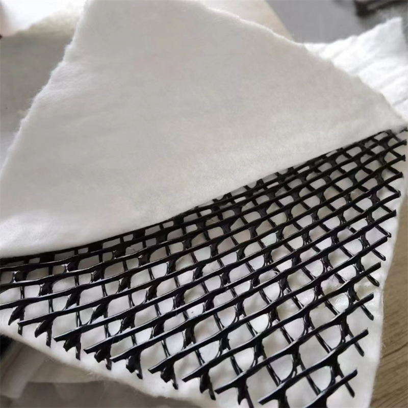 Innovative 3D Geonet for Reservoir Base Strengthening and Soil Loss Prevention