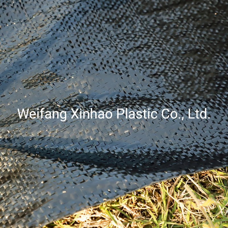 PP Woven Garden Fabric Mulch Weedmats for Garden Fruit Weed Control