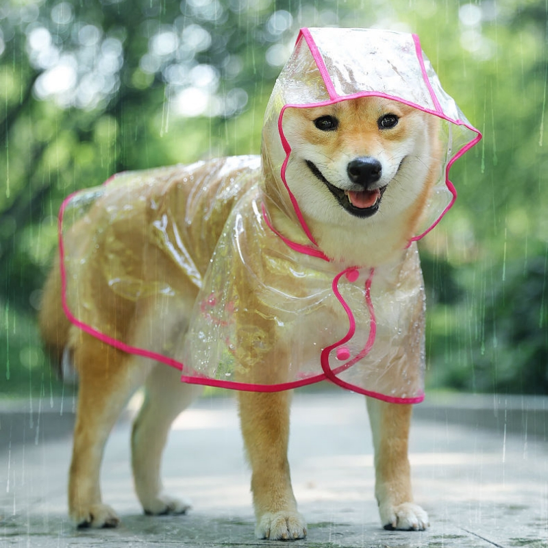 Wholesale Pet Raincoat Waterproof Jumpsuit Small and Medium Dog Raincoat