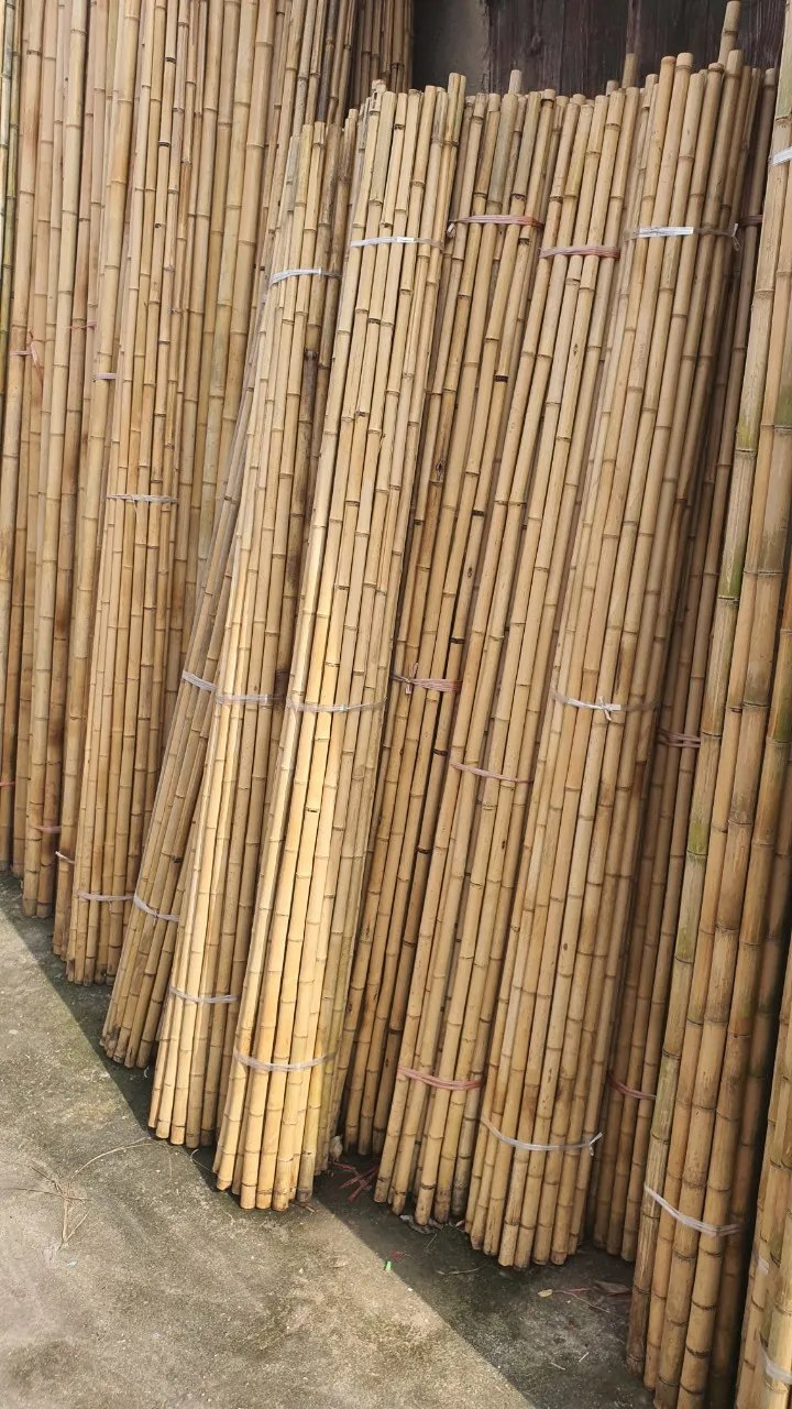 Wholesale Natural The Tree Sticks Bulk Large Bamboo Stake Bamboo Poles